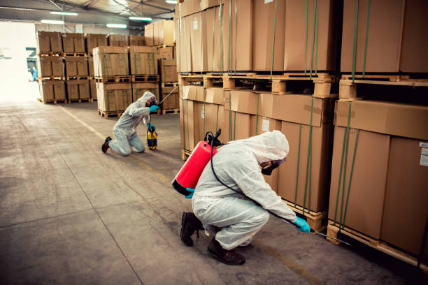 Best Rat Extermination Near Me  in Fitchburg, MA