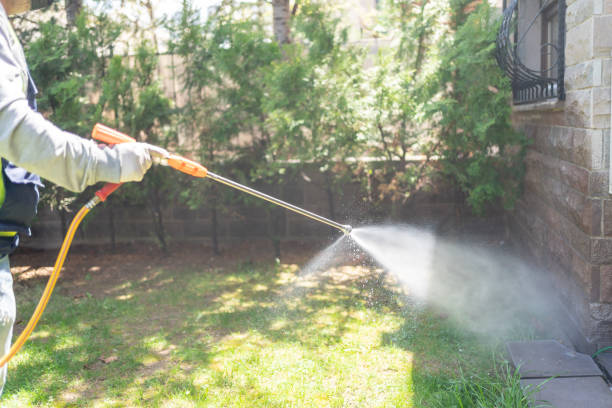 Best Cockroach Control Services  in Fitchburg, MA