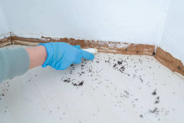 Best Emergency Pest Control  in Fitchburg, MA