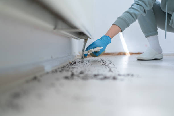 Wildlife Control Services in Fitchburg, MA